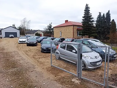 Viola Grzegorz Stasiewicz